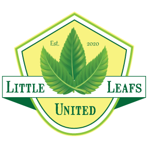 Little Leafs United